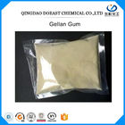 Küçük Gellan Jel Sakız Food Grade Krem Beyaz Renk CAS No 71010-52-1 Et Üretimi