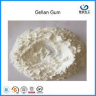 İçecek Üretimi İçin Kokusuz Yüksek Asil Gellan Gum Toz Food Grade